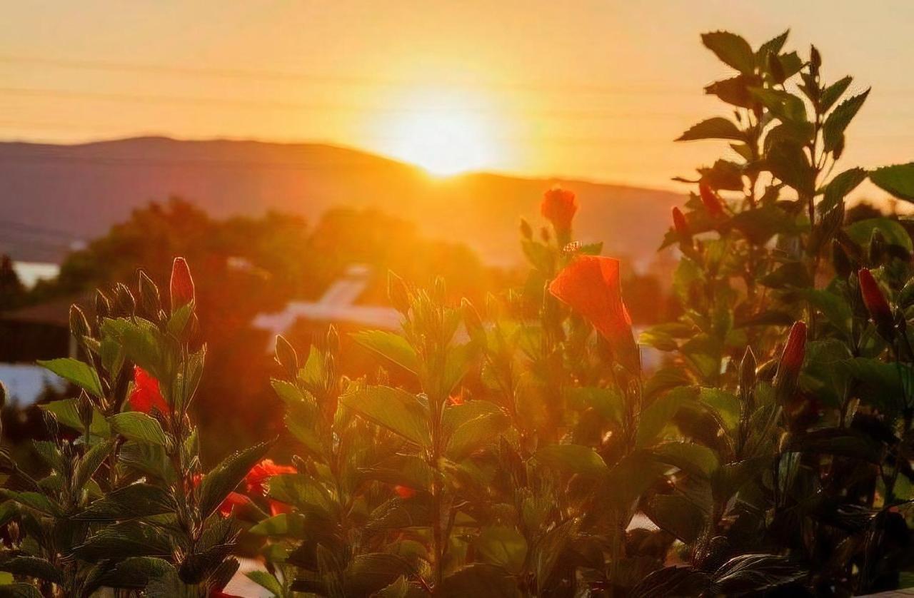 Villa Maniati Studios Áyios Pétros Dış mekan fotoğraf